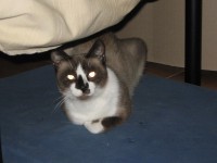 /album/associane-amici-miei/io-028-jpg/